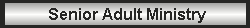 Senior Adult Ministry